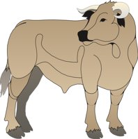 BULL1.CMX