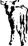 ANDM0110.CMX