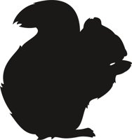 SQUIRREL.CMX