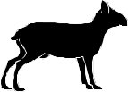 SHEPS002.CMX