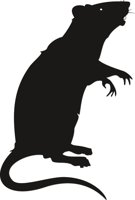 RAT.CMX