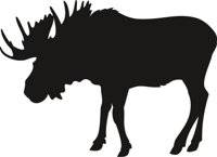 MOOSE.CMX