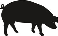 HOG2.CMX