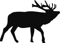 ELKS001.CMX
