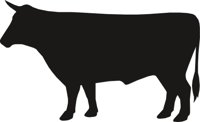 BULL1.CMX