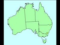 AUSTRALN.BMP