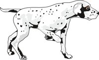 DOG07.CMX