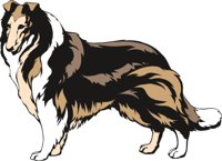 COLLIE2.CMX
