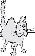 CCAT037.CMX