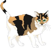 CAT3.CMX