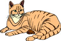CAT001.CMX