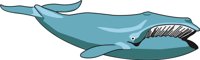 WHALE3.CMX