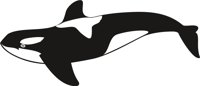 WHALE1.CMX