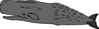 WHALE003.CMX