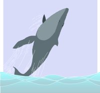 WHALE001.CMX
