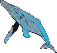 WHALE.CMX