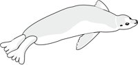 SEALBABY.CMX