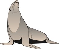 SEAL1.CMX