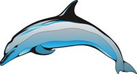 DOLPHIN5.CMX