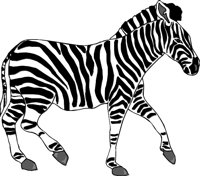 ZEBRA001.CMX