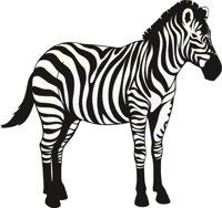 ZEBRA.CMX