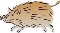 WILDBOAR.CMX