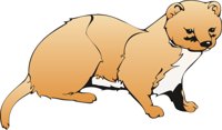 WEASEL1.CMX