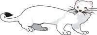 WEASEL.CMX