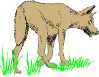 WDOG001.CMX