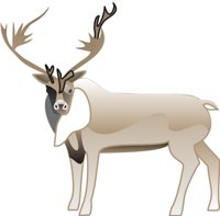 WCARIBOU.CMX