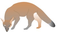 SWFTFOX.CMX