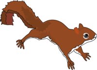 SQUIRREL.CMX