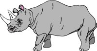 RHINO001.CMX