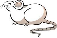 RAT2.CMX