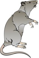 RAT1.CMX