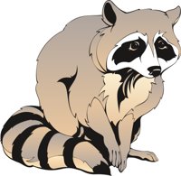 RACCON.CMX