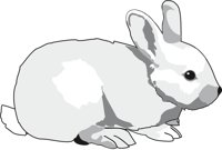 RABBIT4.CMX