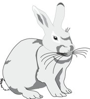 RABBIT1.CMX