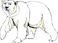 POLARBAR.CMX