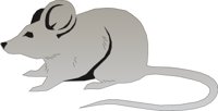 MOUSE2.CMX