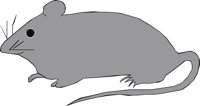 MOUSE001.CMX
