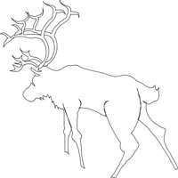 MOOSE004.CMX