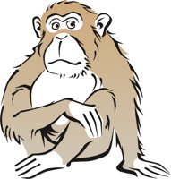 MONKEY4.CMX