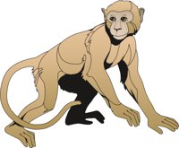 MONKEY3.CMX