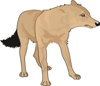 LONE_WLF.CMX