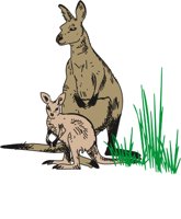 KANGAROC.CMX