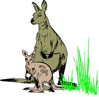 KANGA002.CMX
