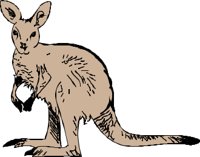 KANGA001.CMX