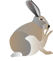 JKRABBIT.CMX