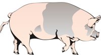 HOG1.CMX